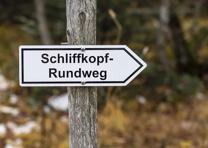 Wellness-& Nationalpark Hotel Schliffkopf, Bwsc